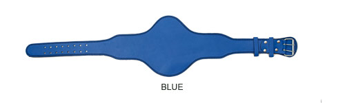 blue-oval-standard-leather