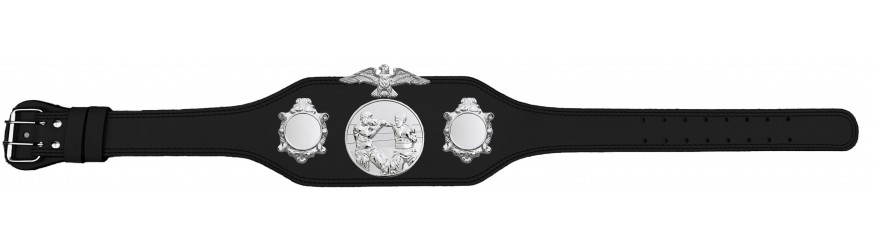 BOXING CHAMPIONSHIP BELT-BUD004/S/BOXS-4 COLOURS