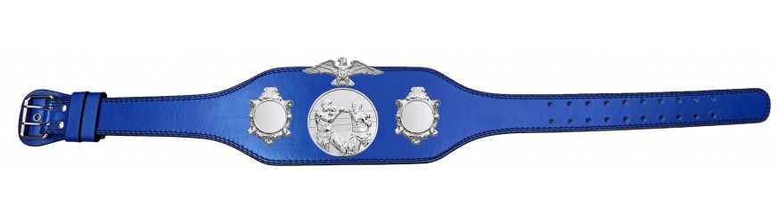 BOXING CHAMPIONSHIP BELT-BUD004/S/BOXS-4 COLOURS