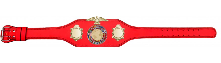 CHAMPIONSHIP BELT - BUD004/G/FLAG - AVAILABLE IN 4 COLOURS