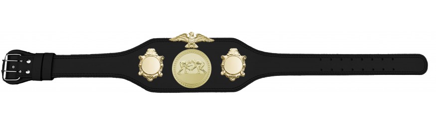 GRAPPLING CHAMPIONSHIP BELT BUD004/G/GRAPG-4 COLOURS