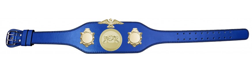 GRAPPLING CHAMPIONSHIP BELT BUD004/G/GRAPG-4 COLOURS
