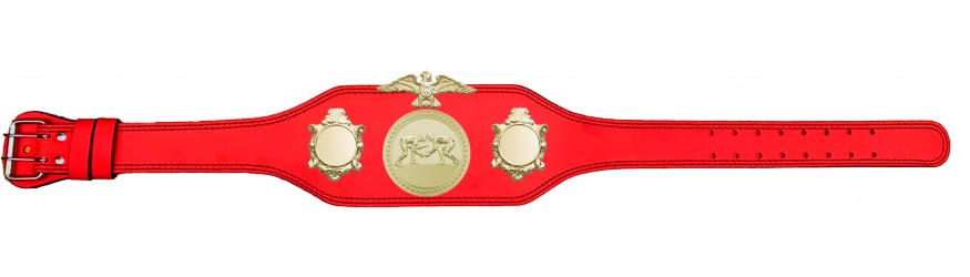 GRAPPLING CHAMPIONSHIP BELT BUD004/G/GRAPG-4 COLOURS