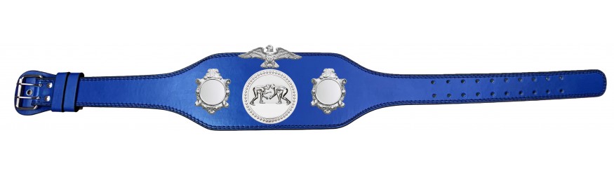 GRAPPLING CHAMPIONSHIP BELT-BUD004/S/GRAPS-4 COLOURS
