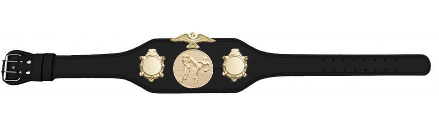 KICKBOXING CHAMPIONSHIP TITLE BELT BUD004/G/KBOG-4 COLOURS