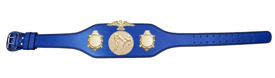 KICKBOXING CHAMPIONSHIP TITLE BELT BUD004/G/KBOG-4 COLOURS