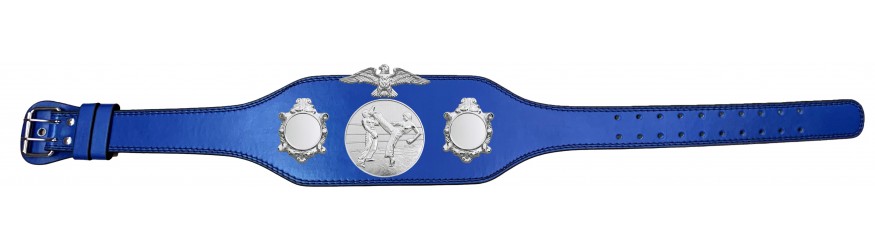 KICKBOXING CHAMPIONSHIP TITLE BELT-BUD004/S/KBOS-4 COLOURS
