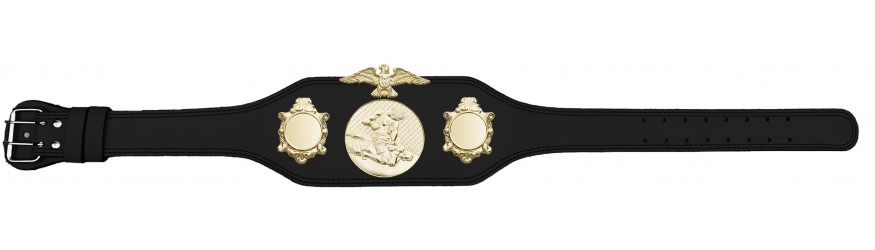 MMA CHAMPIONSHIP BELT-BUD004/G/MMAG-4 COLOURS