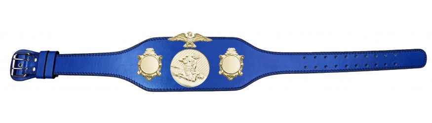 MMA CHAMPIONSHIP BELT-BUD004/G/MMAG-4 COLOURS