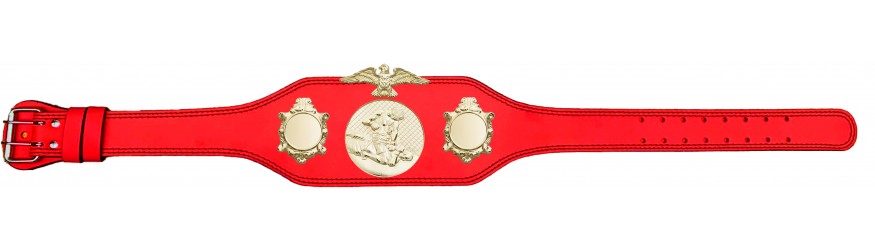 MMA CHAMPIONSHIP BELT-BUD004/G/MMAG-4 COLOURS