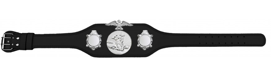 MMA CHAMPIONSHIP BELT-BUD004/S/MMAS-4 COLOURS