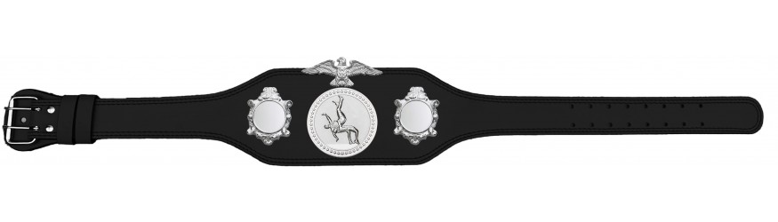 WRESTLING CHAMPIONSHIP BELT-BUD004/S/WRESTS-4 COLOURS