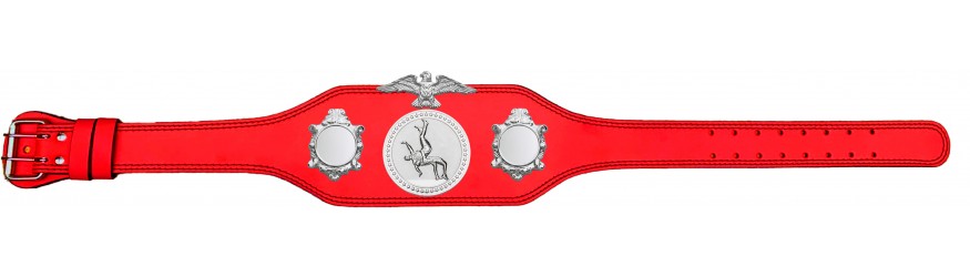 WRESTLING CHAMPIONSHIP BELT-BUD004/S/WRESTS-4 COLOURS
