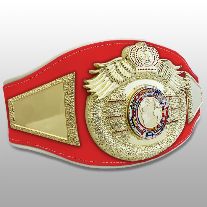 *NEW* PROICON CHAMPIONSHIP BELT/G/FLAGG - AVAILABLE IN 6+ COLOURS