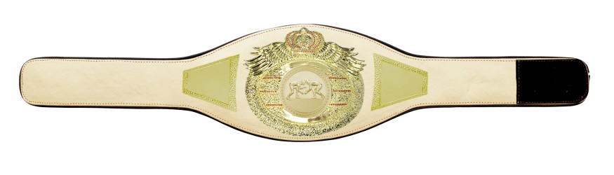 *NEW* PROICON GRAPPLING CHAMPIONSHIP BELT ICON/G/GRAPPG - AVAILABLE IN 6+ COLOURS