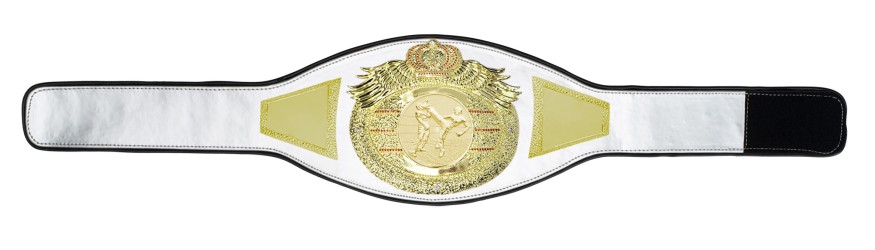 *NEW* PROICON KICKBOXING CHAMPIONSHIP BELT/G/KICKBOXG - AVAILABLE IN 6+ COLOURS