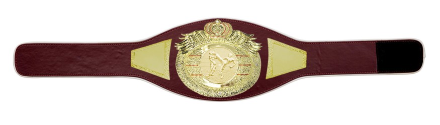 *NEW* PROICON KICKBOXING CHAMPIONSHIP BELT/G/KICKBOXG - AVAILABLE IN 6+ COLOURS