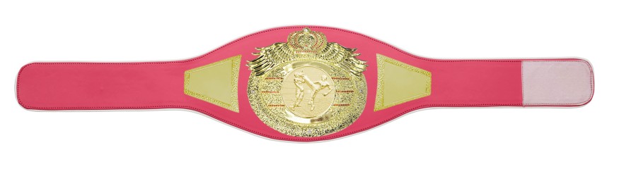 *NEW* PROICON KICKBOXING CHAMPIONSHIP BELT/G/KICKBOXG - AVAILABLE IN 6+ COLOURS