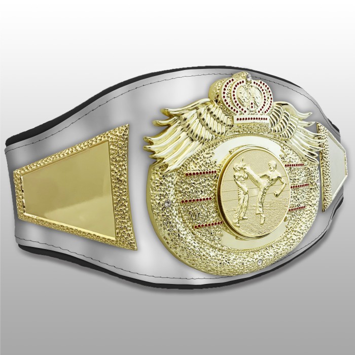 *NEW* PROICON KICKBOXING CHAMPIONSHIP BELT/G/KICKBOXG - AVAILABLE IN 6+ COLOURS