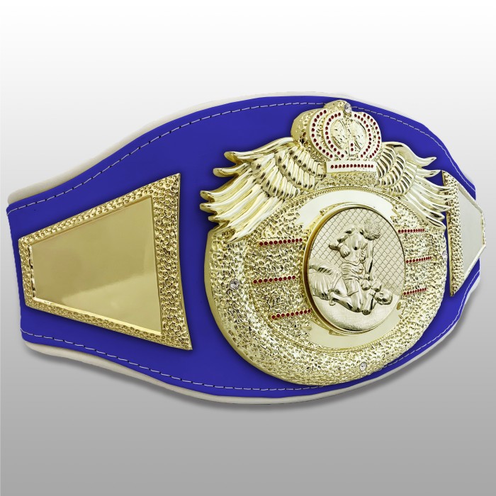 *NEW* PROICON MMA CHAMPIONSHIP BELT/G/MMAG - AVAILABLE IN 6+ COLOURS