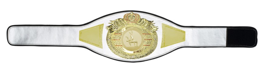 *NEW* PROICON WRESTLING CHAMPIONSHIP BELT/G/WRESTG - AVAILABLE IN 6+ COLOURS