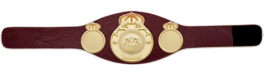 GRAPPLING CHAMPIONSHIP BELT PROLION/G/GRAPG - AVAILABLE IN 6+ COLOURS GRAPPLING CHAMPIONSHIP BELT PROLION/G/GRAPG - AVAILABLE IN 6+ COLOURS