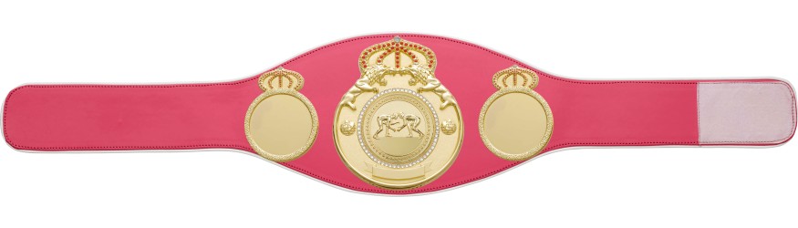 GRAPPLING CHAMPIONSHIP BELT PROLION/G/GRAPG - AVAILABLE IN 6+ COLOURS GRAPPLING CHAMPIONSHIP BELT PROLION/G/GRAPG - AVAILABLE IN 6+ COLOURS