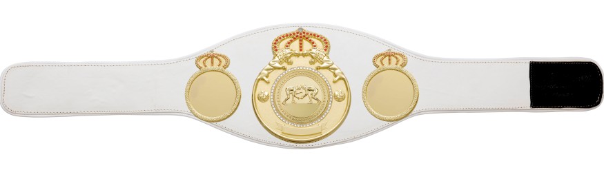 GRAPPLING CHAMPIONSHIP BELT PROLION/G/GRAPG - AVAILABLE IN 6+ COLOURS GRAPPLING CHAMPIONSHIP BELT PROLION/G/GRAPG - AVAILABLE IN 6+ COLOURS