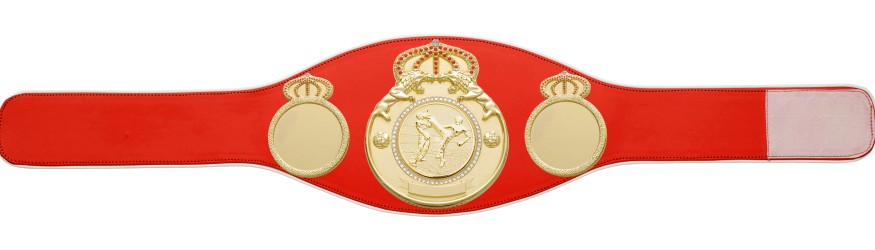 KICKBOXING CHAMPIONSHIP BELT PROLION/G/KBOG - AVAILABLE IN 6+ COLOURS KICKBOXING CHAMPIONSHIP BELT PROLION/G/KBOG - AVAILABLE IN 6+ COLOURS