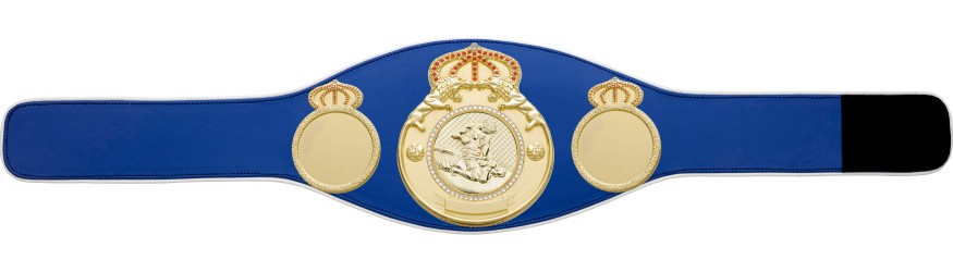 MMA CHAMPIONSHIP BELT PROLION/G/MMAG - AVAILABLE IN 6+ COLOURS MMA CHAMPIONSHIP BELT PROLION/G/MMAG - AVAILABLE IN 6+ COLOURS