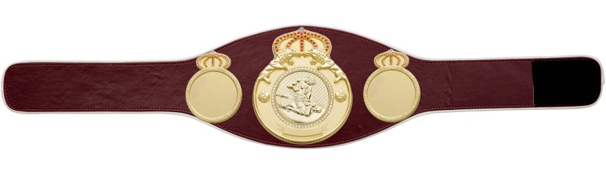 MMA CHAMPIONSHIP BELT PROLION/G/MMAG - AVAILABLE IN 6+ COLOURS MMA CHAMPIONSHIP BELT PROLION/G/MMAG - AVAILABLE IN 6+ COLOURS
