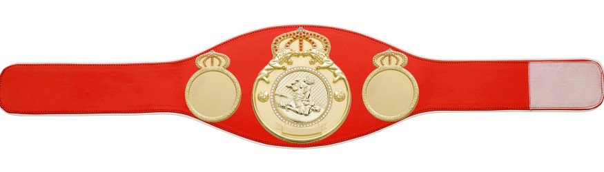 MMA CHAMPIONSHIP BELT PROLION/G/MMAG - AVAILABLE IN 6+ COLOURS MMA CHAMPIONSHIP BELT PROLION/G/MMAG - AVAILABLE IN 6+ COLOURS