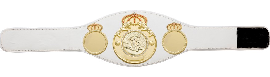 MMA CHAMPIONSHIP BELT PROLION/G/MMAG - AVAILABLE IN 6+ COLOURS MMA CHAMPIONSHIP BELT PROLION/G/MMAG - AVAILABLE IN 6+ COLOURS