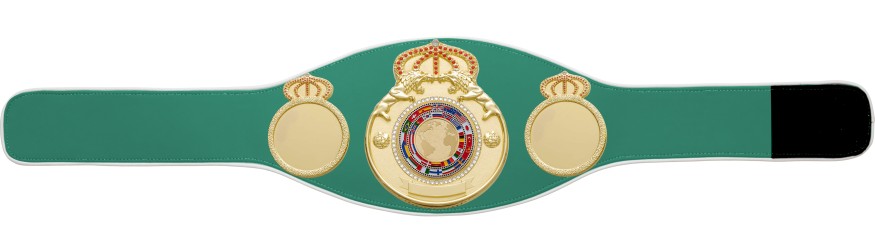 CHAMPIONSHIP BELT PROLION/G/FLAG - AVAILABLE IN 6+ COLOURS CHAMPIONSHIP BELT PROLION/G/FLAG - AVAILABLE IN 6+ COLOURS