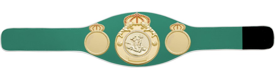 MMA CHAMPIONSHIP BELT PROLION/G/MMAG - AVAILABLE IN 6+ COLOURS MMA CHAMPIONSHIP BELT PROLION/G/MMAG - AVAILABLE IN 6+ COLOURS