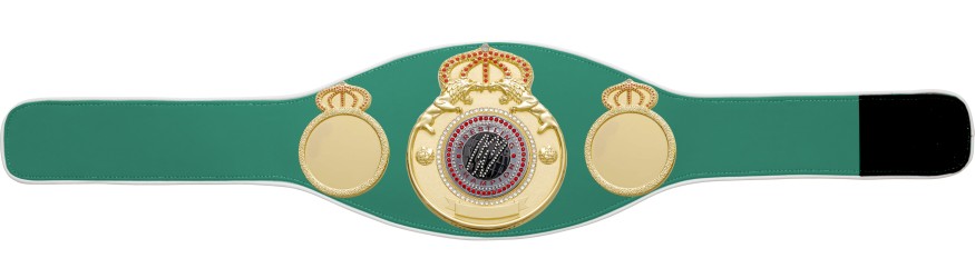 WRESTLING GEM CHAMPIONSHIP BELT PROLION/G/WRESTGEMS - AVAILABLE IN 6+ COLOURS WRESTLING GEM CHAMPIONSHIP BELT PROLION/G/WRESTGEMS - AVAILABLE IN 6+ COLOURS