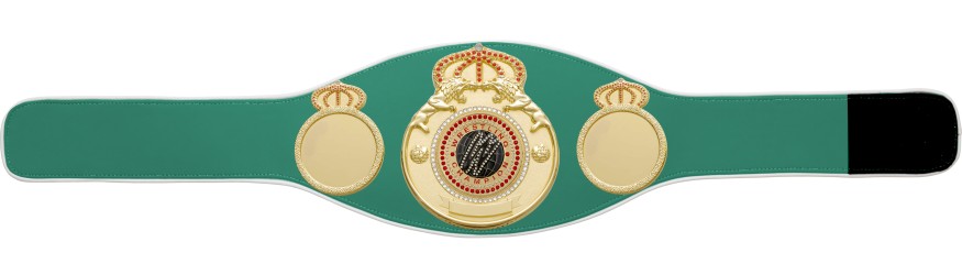 WRESTLING GEM CHAMPIONSHIP BELT PROLION/G/WRESTGEMG - AVAILABLE IN 6+ COLOURS WRESTLING GEM CHAMPIONSHIP BELT PROLION/G/WRESTGEMG - AVAILABLE IN 6+ COLOURS