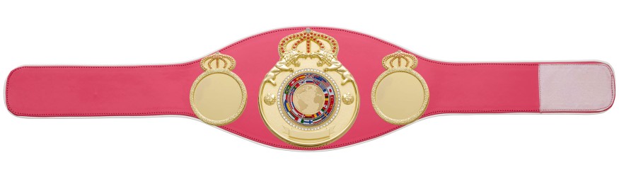 CHAMPIONSHIP BELT PROLION/G/FLAG - AVAILABLE IN 6+ COLOURS CHAMPIONSHIP BELT PROLION/G/FLAG - AVAILABLE IN 6+ COLOURS
