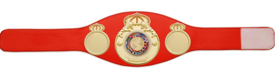 CHAMPIONSHIP BELT PROLION/G/FLAG - AVAILABLE IN 6+ COLOURS CHAMPIONSHIP BELT PROLION/G/FLAG - AVAILABLE IN 6+ COLOURS