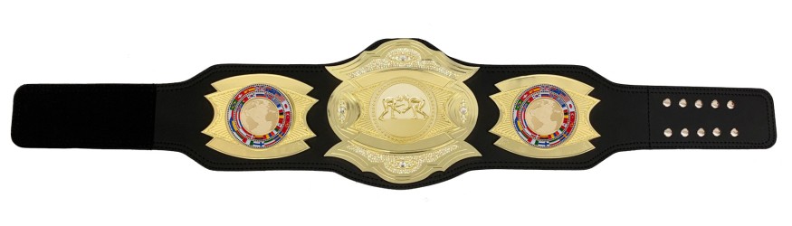 *NEW* PROGEMELITE GRAPPLING CHAMPIONSHIP BELT - PROGEMELITE/G/GRAPPG *NEW* PROGEMELITE GRAPPLING CHAMPIONSHIP BELT - PROGEMELITE/G/GRAPPG