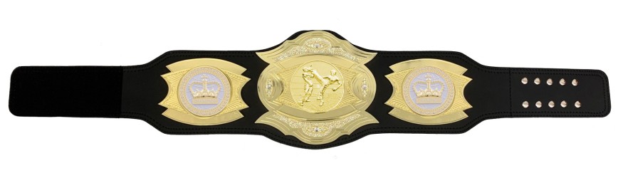 *NEW* PROGEMELITE KICKBOXING CHAMPIONSHIP BELT - PROGEMELITE/G/KBOG *NEW* PROGEMELITE KICKBOXING CHAMPIONSHIP BELT - PROGEMELITE/G/KBOG
