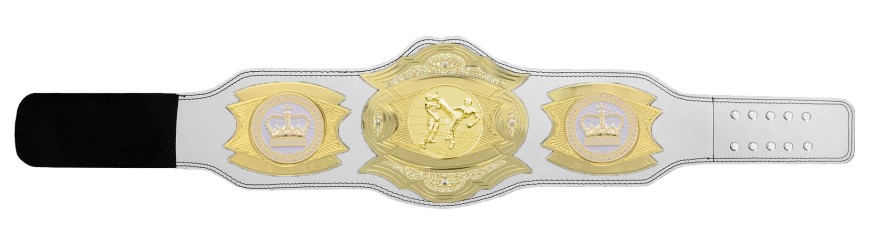 *NEW* PROGEMELITE KICKBOXING CHAMPIONSHIP BELT - PROGEMELITE/G/KBOG *NEW* PROGEMELITE KICKBOXING CHAMPIONSHIP BELT - PROGEMELITE/G/KBOG