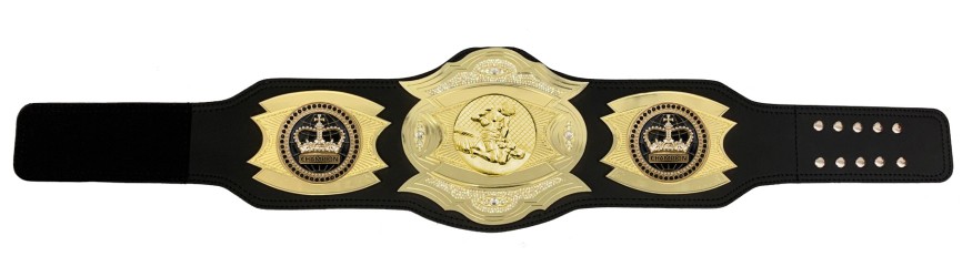 *NEW* PROGEMELITE MMA CHAMPIONSHIP BELT - PROGEMELITE/G/MMAG *NEW* PROGEMELITE MMA CHAMPIONSHIP BELT - PROGEMELITE/G/MMAG