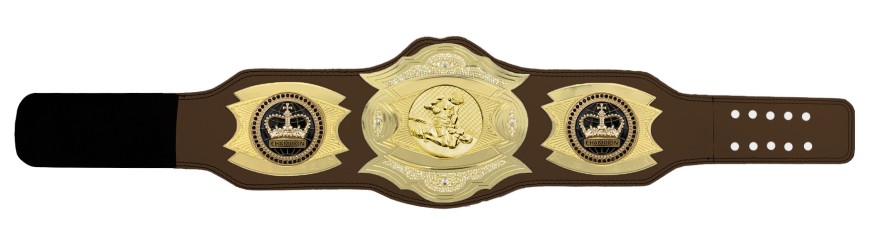 *NEW* PROGEMELITE MMA CHAMPIONSHIP BELT - PROGEMELITE/G/MMAG *NEW* PROGEMELITE MMA CHAMPIONSHIP BELT - PROGEMELITE/G/MMAG