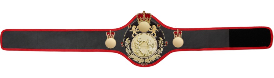 QUEENSBURY PRO LEATHER BOXING CHAMPIONSHIP BELT-QUEEN/B/G/BOXG 10+ COLOURS