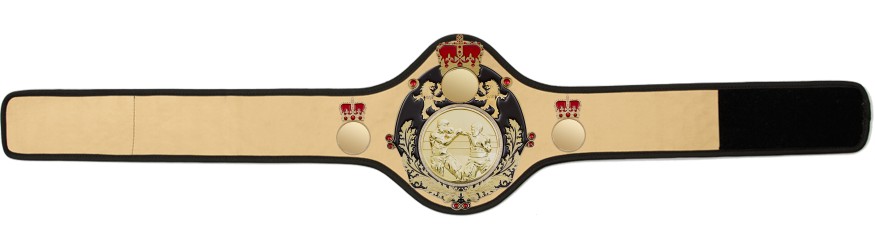 QUEENSBURY PRO LEATHER BOXING CHAMPIONSHIP BELT-QUEEN/B/G/BOXG 10+ COLOURS