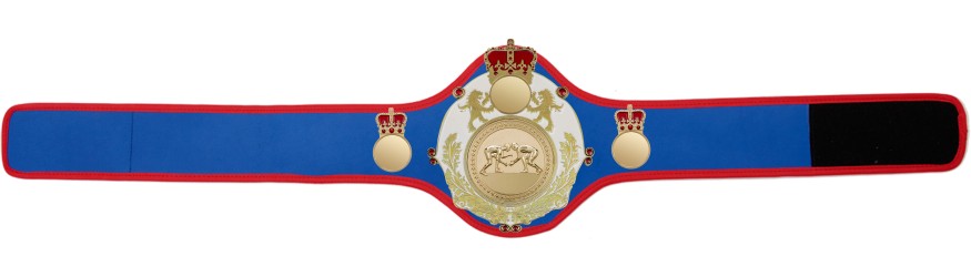 QUEENSBURY PRO LEATHER GRAPPLING CHAMPIONSHIP BELT -QUEEN/B/G/GRAPG-10+ COLOURS