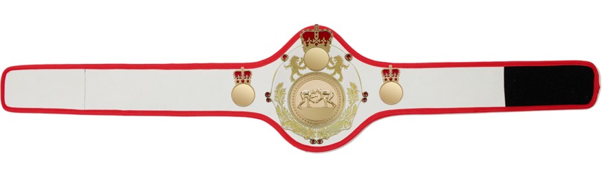 QUEENSBURY PRO LEATHER GRAPPLING CHAMPIONSHIP BELT -QUEEN/B/G/GRAPG-10+ COLOURS