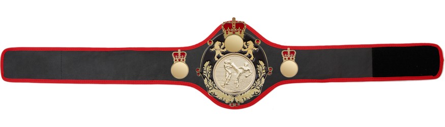 QUEENSBURY PRO LEATHER KICKBOXING CHAMPIONSHIP BELT - QUEEN/B/G/KBOG -10+ COLOURS