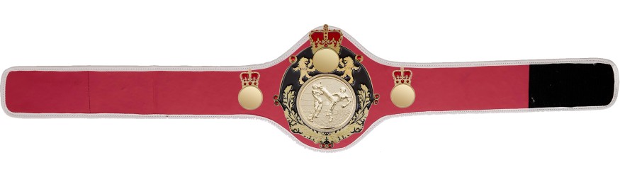 QUEENSBURY PRO LEATHER KICKBOXING CHAMPIONSHIP BELT - QUEEN/B/G/KBOG -10+ COLOURS